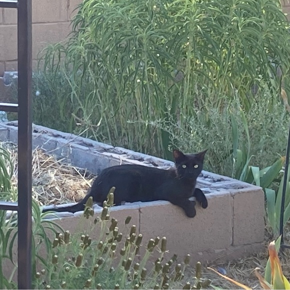 Meet your Posher, Kim - Picture 5 of 8